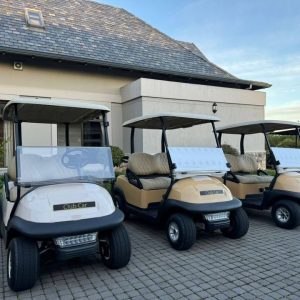 2008 Club Car Precedent — 2-Seater Electric Golf Cart
