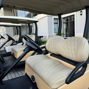 2008 Club Car Precedent — 2-Seater Electric Golf Cart